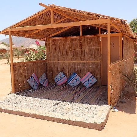 Bedouin Star 호텔 타바 외부 사진