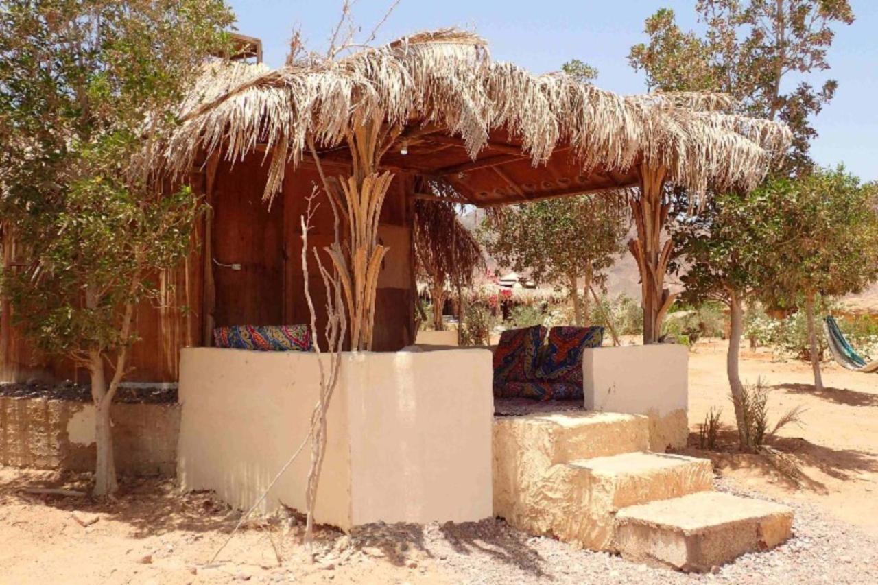 Bedouin Star 호텔 타바 외부 사진