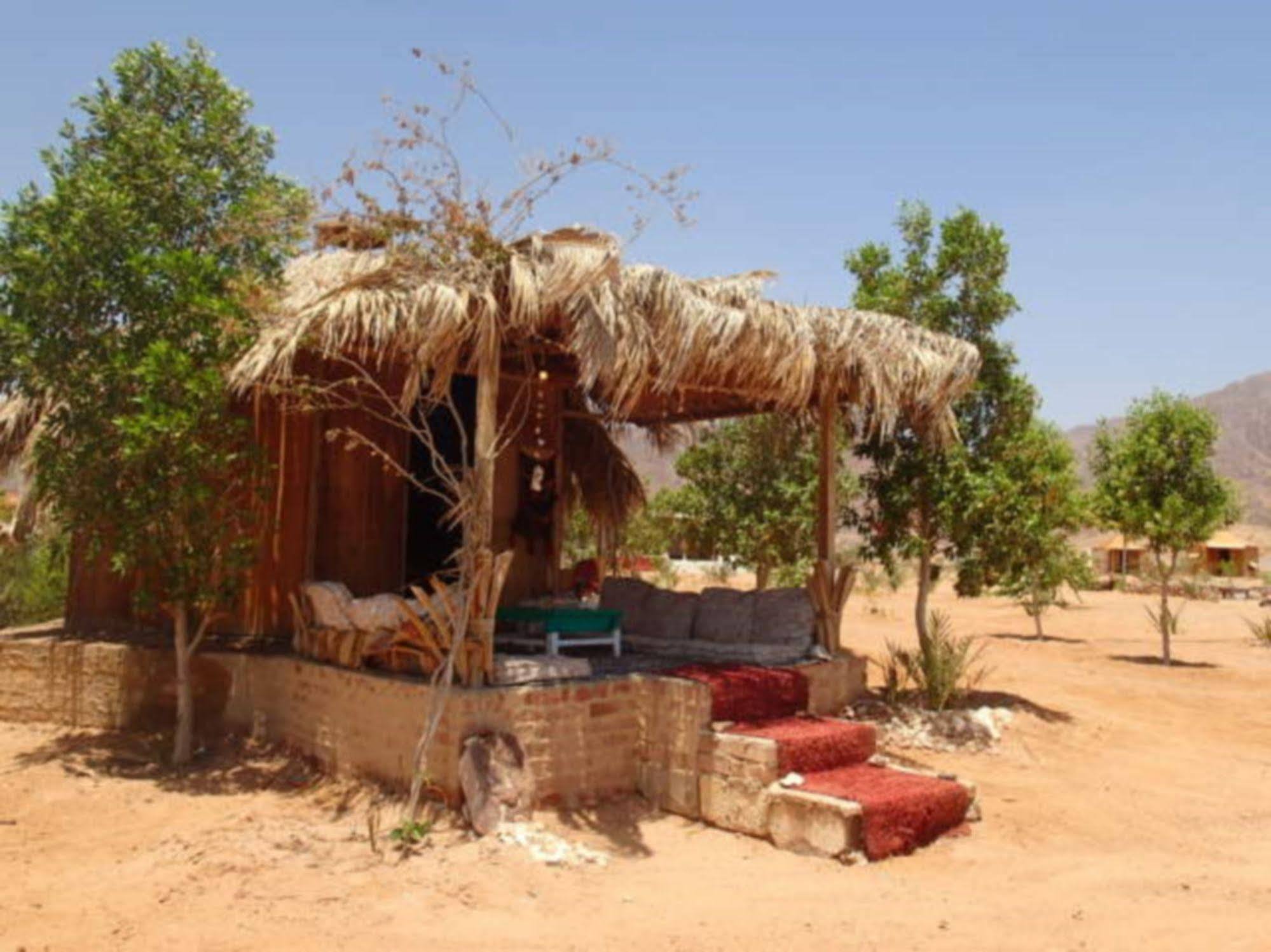 Bedouin Star 호텔 타바 외부 사진